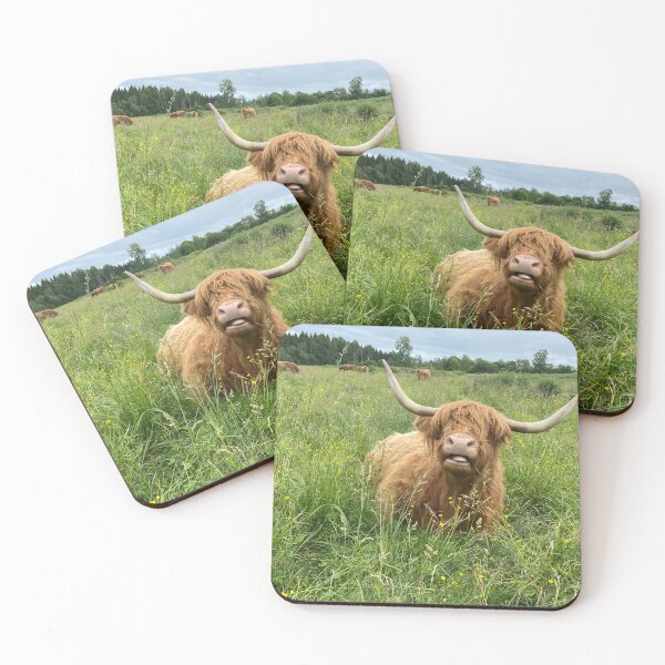 Item preview, Scottish Highland Cattle Cow 4493 designed and sold by SaarelaHighland.