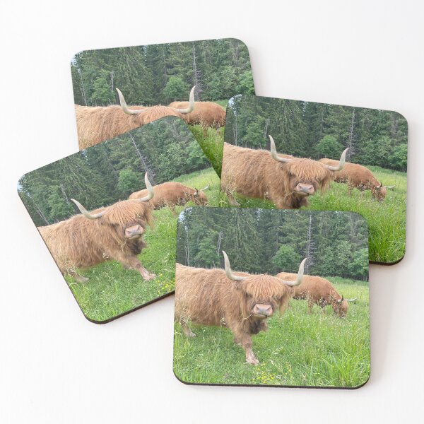 Item preview, Scottish Highland Cattle Cow 4494 designed and sold by SaarelaHighland.