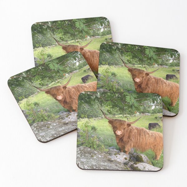 Item preview, Scottish Highland Cattle Cow 4496 designed and sold by SaarelaHighland.