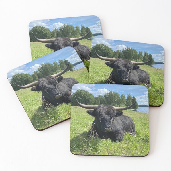 Item preview, Scottish Highland Cattle Bull 4498 designed and sold by SaarelaHighland.
