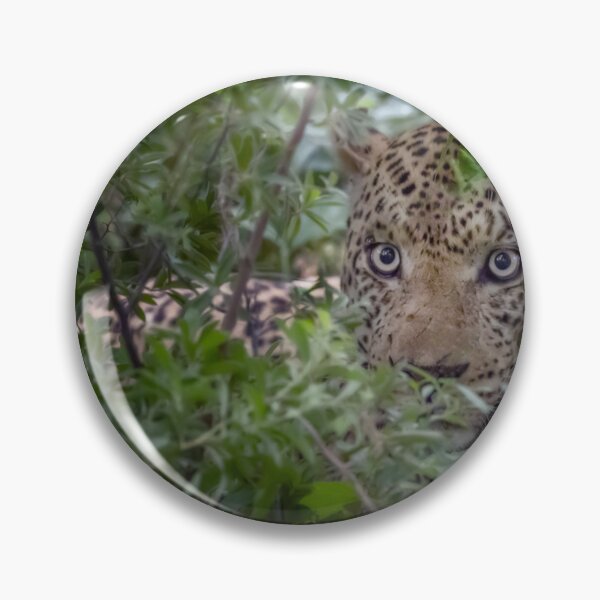 Item preview, Leopard in the Bush Botswana Africa 2 designed and sold by PhotoArt by Joan Carroll.