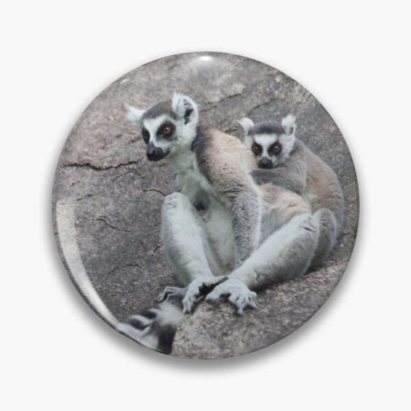 Item preview, Mother & baby Ringtailed Lemur - Madagascar designed and sold by CharlotteMorse.
