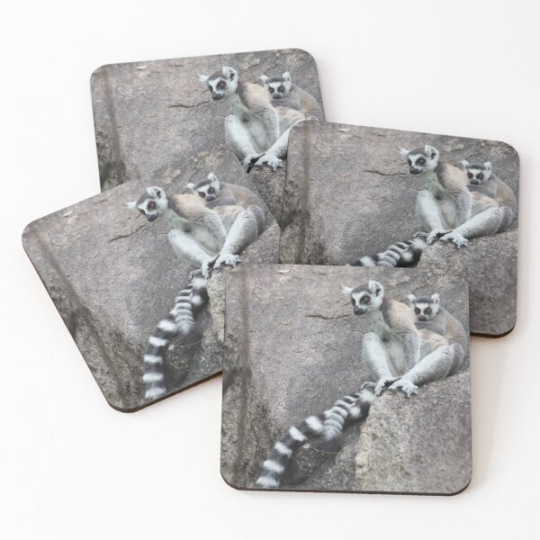 Item preview, Mother & baby Ringtailed Lemur - Madagascar designed and sold by CharlotteMorse.