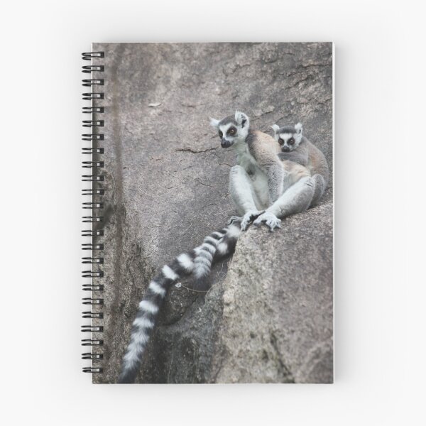 Item preview, Mother & baby Ringtailed Lemur - Madagascar designed and sold by CharlotteMorse.