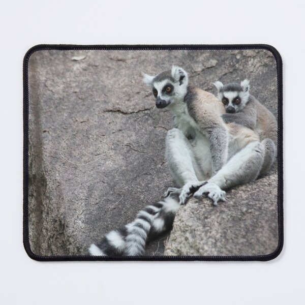 Item preview, Mother & baby Ringtailed Lemur - Madagascar designed and sold by CharlotteMorse.