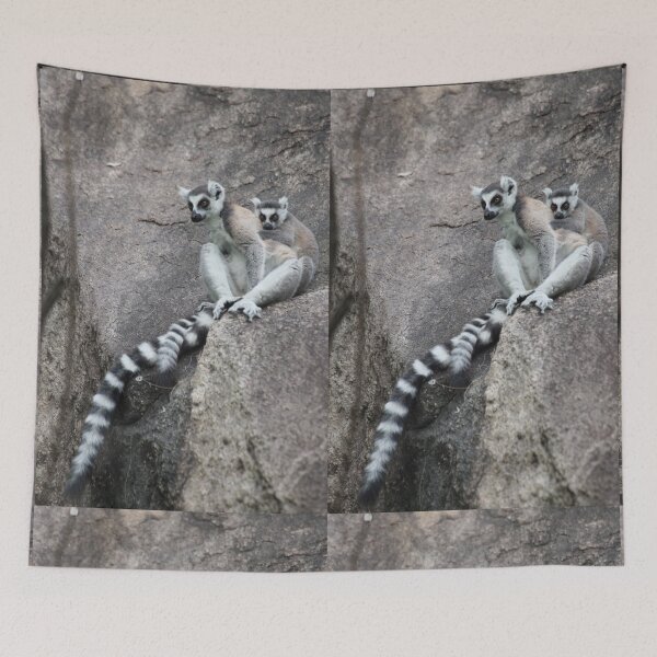 Item preview, Mother & baby Ringtailed Lemur - Madagascar designed and sold by CharlotteMorse.