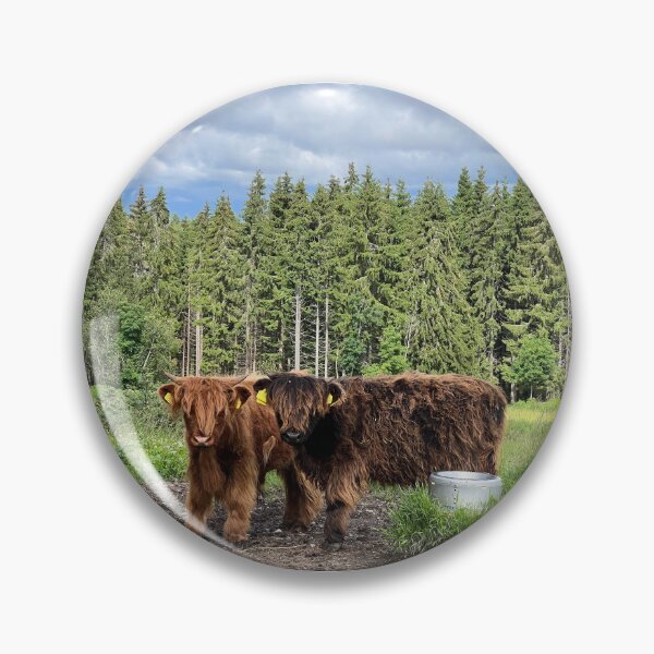 Artikelvorschau, Scottish Highland Cattle Calf 4500 entworfen und verkauft von SaarelaHighland.