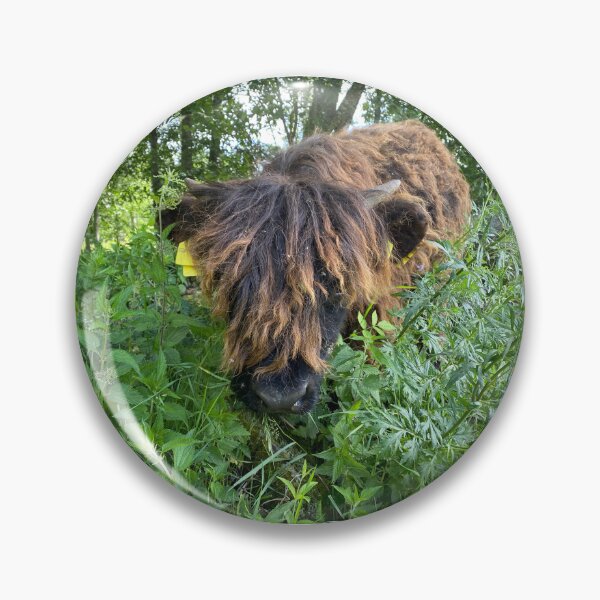 Artikelvorschau, Scottish Highland Cattle Calf 4501 entworfen und verkauft von SaarelaHighland.