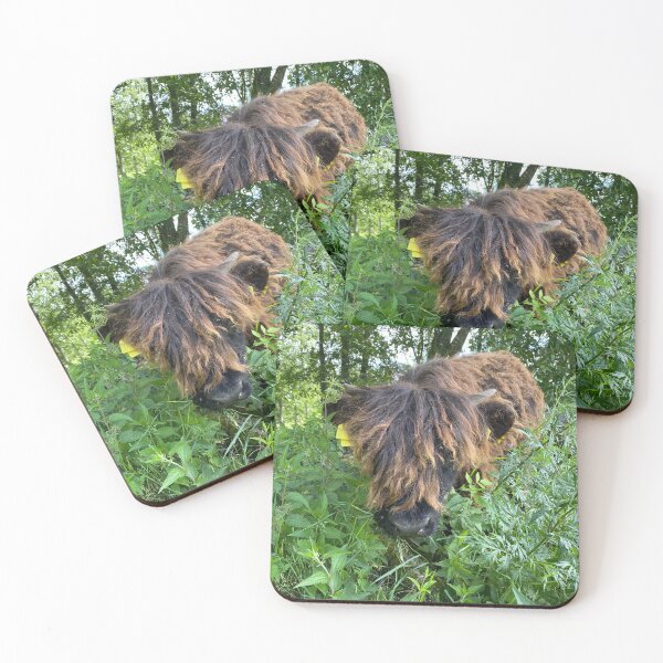 Item preview, Scottish Highland Cattle Calf 4501 designed and sold by SaarelaHighland.