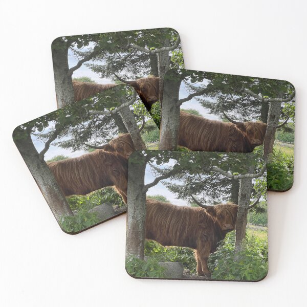 Item preview, Scottish Highland Cattle Cow 4503 designed and sold by SaarelaHighland.