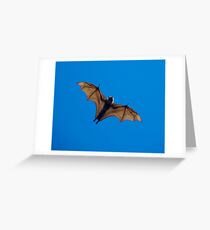 Zoom Greeting Card
