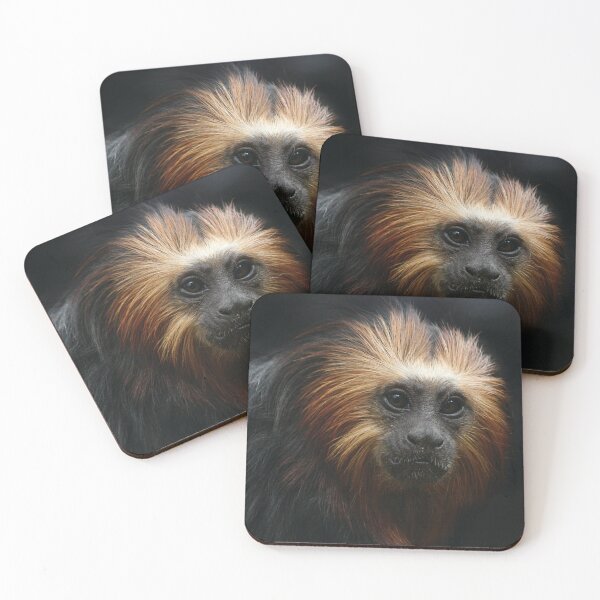 Item preview, Portrait of a Golden-headed Lion Tamarin designed and sold by CharlotteMorse.