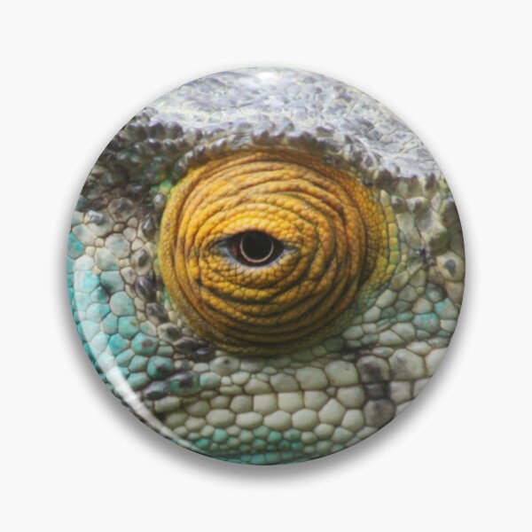 Artikelvorschau, Parson's Chameleon entworfen und verkauft von CharlotteMorse.