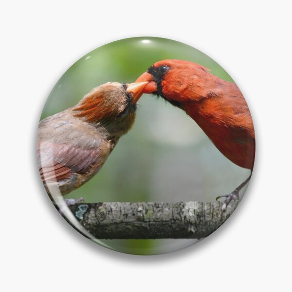 Item preview, Cardinal Courtship designed and sold by richardbryce.