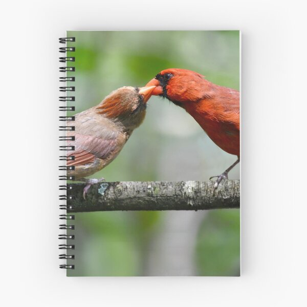 Item preview, Cardinal Courtship designed and sold by richardbryce.