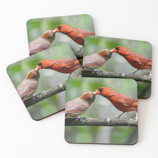 Item preview, Cardinal Courtship designed and sold by richardbryce.
