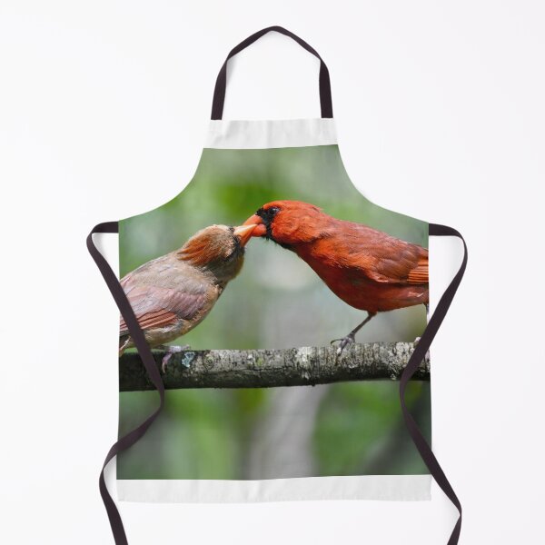 Item preview, Cardinal Courtship designed and sold by richardbryce.