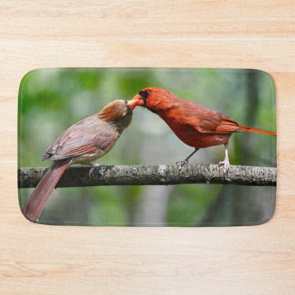 Item preview, Cardinal Courtship designed and sold by richardbryce.