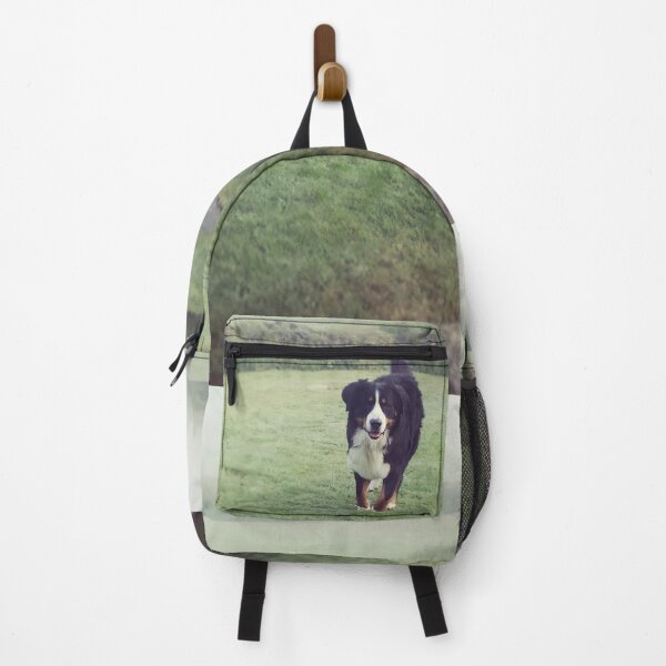 Artikelvorschau, Berner Sennenhund rennt durch die englische Landschaft auf Sie zu: Ein Fest der Liebe und Freundschaft entworfen und verkauft von Oh Halo Berry.