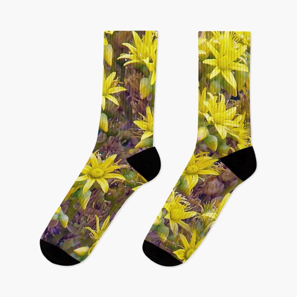 Item preview, Sunny Succulent Flowers  designed and sold by heatherfriedman.