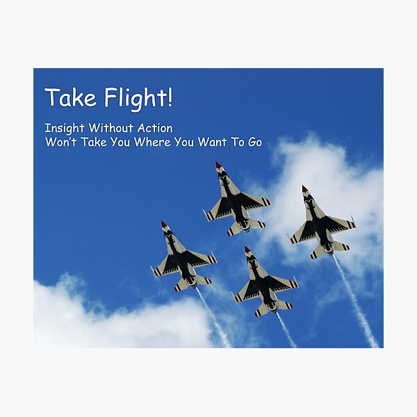Item preview, Take Flight! designed and sold by BWBConcepts.