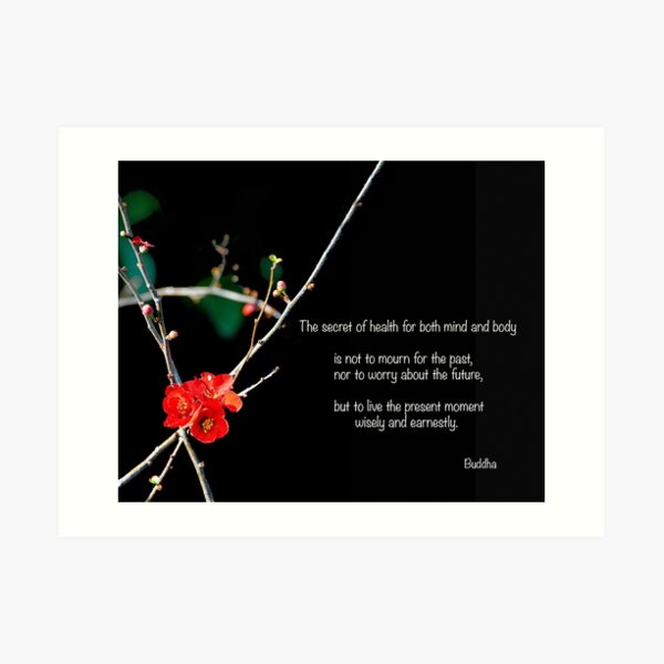 The Secret Of Health Art Print