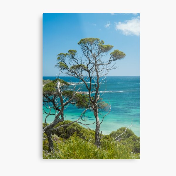 Item preview, Ti-Tree over the Beach designed and sold by metriognome.