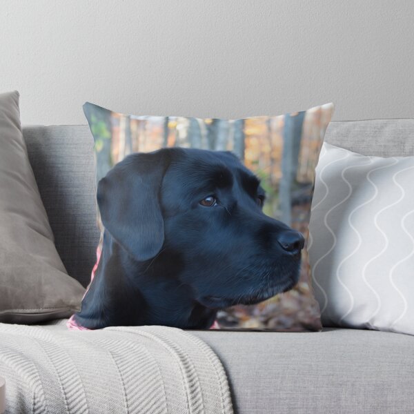 black lab fall pillow