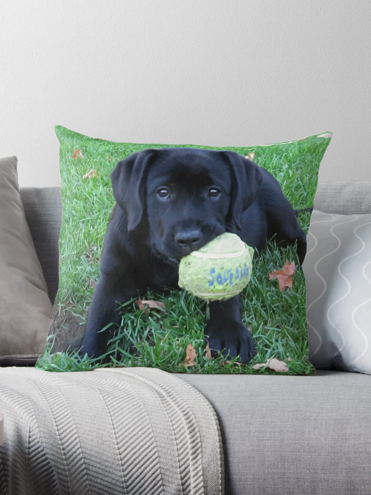 Awaiting Spring - Black Labrador Puppy Throw Pillow for Sale by