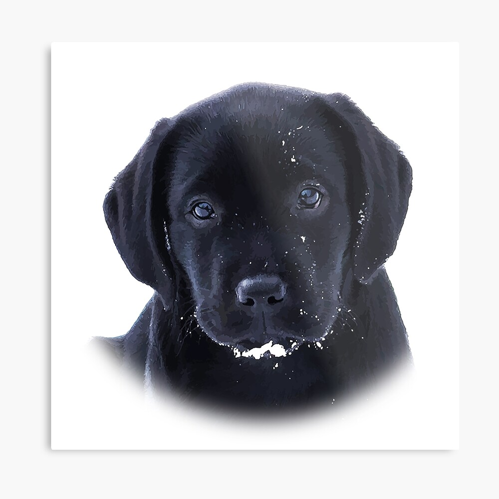8/" Labrador Retriever vinyl decal//sticker dog animal pet puppy lab hunt