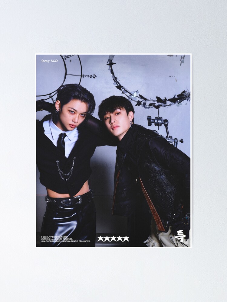 Stray  Kids フィリックス　チャンビン　ポスター Stray Kids フィリックス チャンビン ポスター StrayKids #チャンビン