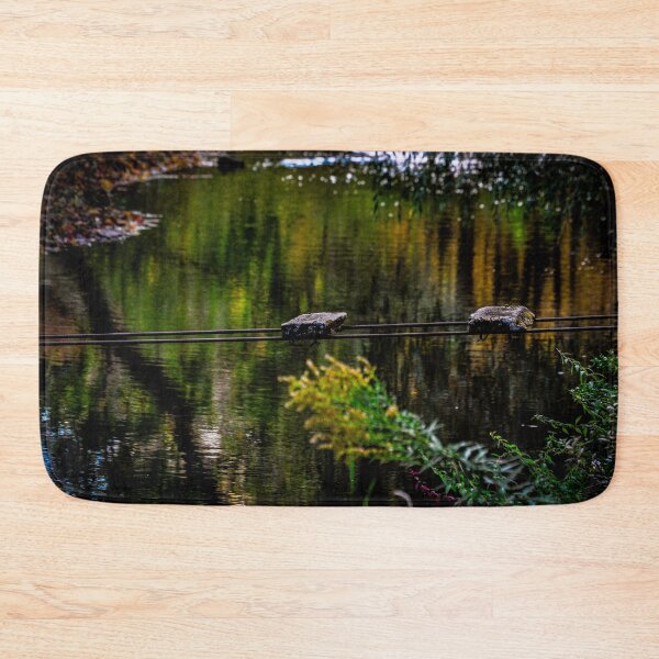 Item preview, Old Stream Bridge and Tree Reflections designed and sold by SRosuphotos.