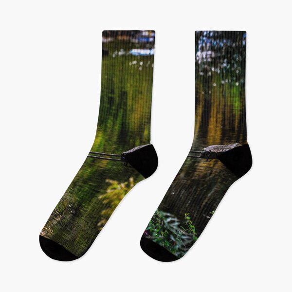 Item preview, Old Stream Bridge and Tree Reflections designed and sold by SRosuphotos.