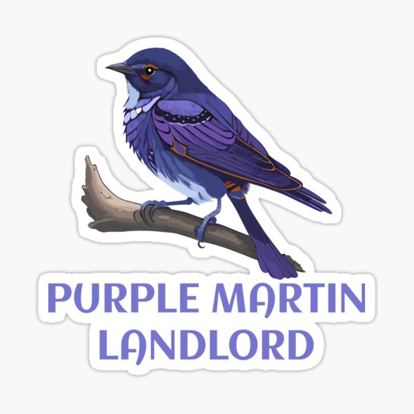 Item preview, Purple Martin Landlord Purple Martin Birds Lover Adult kids designed and sold by Dream-bubble.
