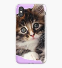 Kitten iPhone Case