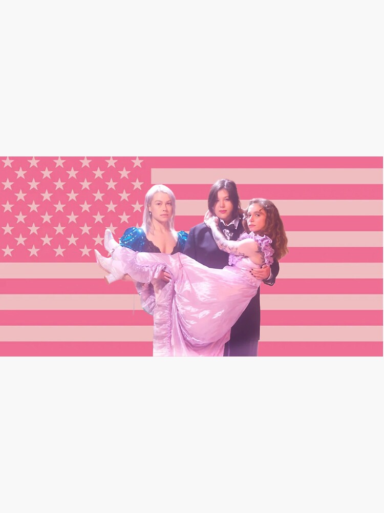 "boygenius American flag pink" Sticker for Sale by kellyxgs Redbubble