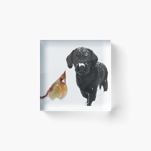 Item preview, Snow Day Companions - Black Labrador & Cardinal designed and sold by BlackDogArtJudy.