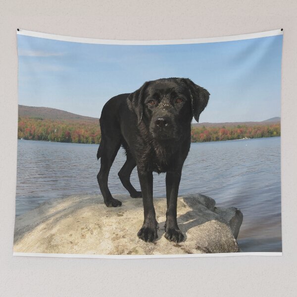 Item preview, Black Labrador - Life's a Beach designed and sold by BlackDogArtJudy.