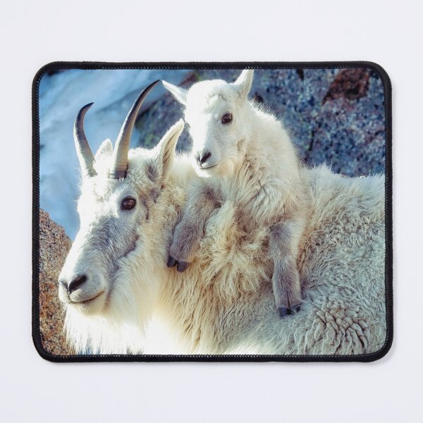Item preview, Nanny and Kid of Mountain Goats A Heartwarming Bond at 14265 Feet designed and sold by Rocky Mountain Artistry.