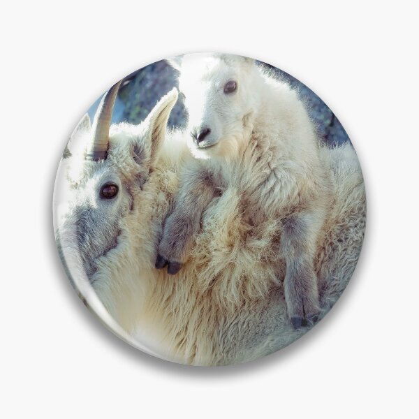 Item preview, Nanny and Kid of Mountain Goats A Heartwarming Bond at 14265 Feet designed and sold by Rocky Mountain Artistry.
