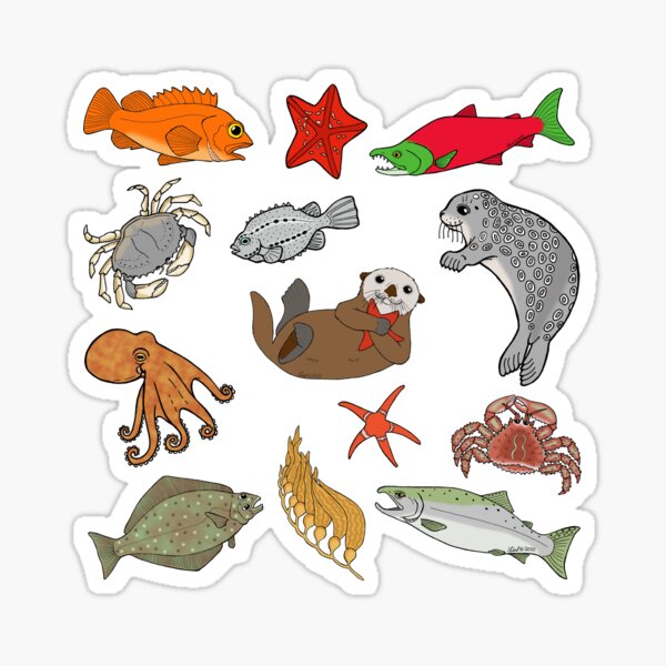 Shop Fish stickers  Mini Dungeness Crab Stickers & Decals Pack by