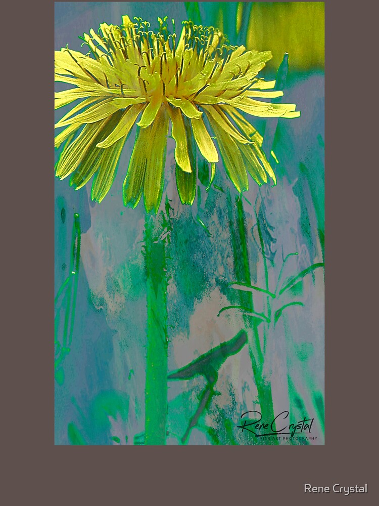 A Painted Lion by imagesbycrystal