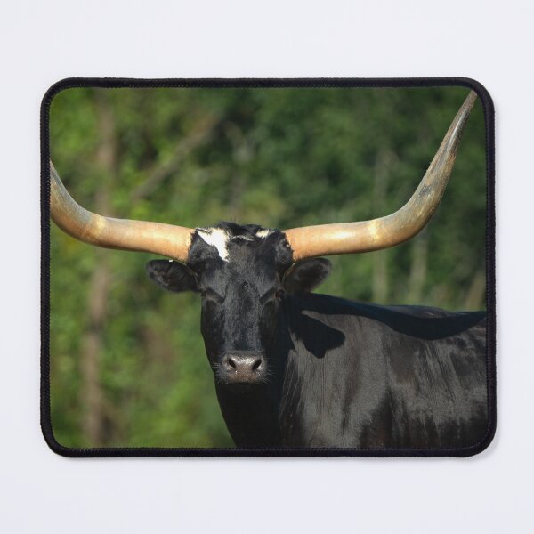 Item preview, Longhorn designed and sold by Danny Key.