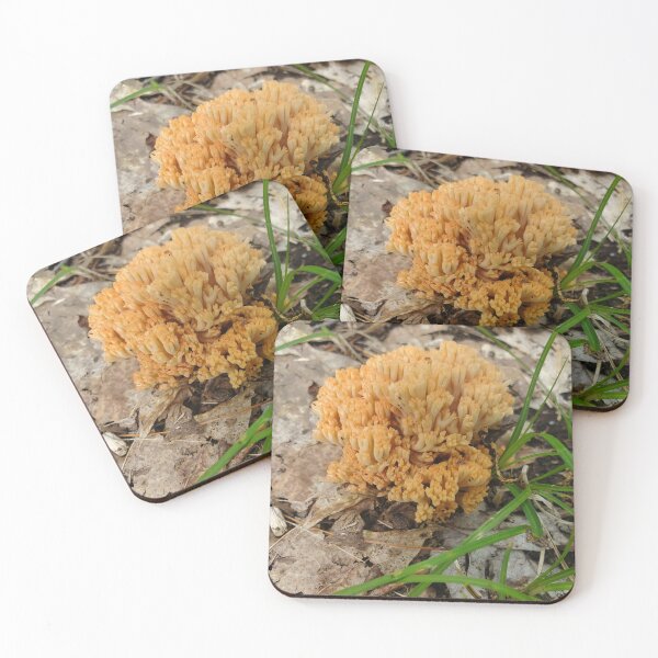 Item preview, Coral Mushroom designed and sold by etherealwonders.