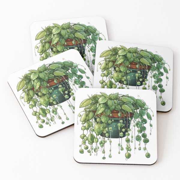 Item preview, Hanging Potted String of Pearls and Pothos Leaves Sticker  Botanical Vines, 2D Game Art, Water Drops designed and sold by Artistically-T.