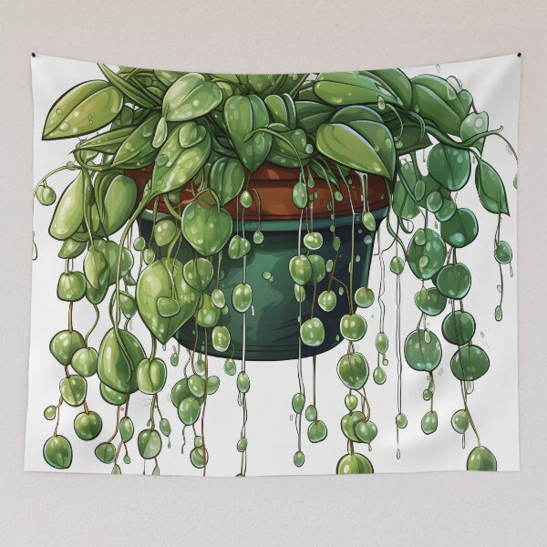 Item preview, Hanging Potted String of Pearls and Pothos Leaves Sticker  Botanical Vines, 2D Game Art, Water Drops designed and sold by Artistically-T.