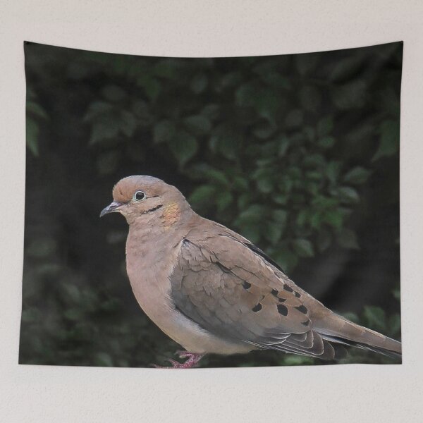 Item preview, Mourning Dove Among the Leaves designed and sold by heatherfriedman.