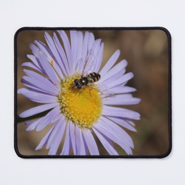 Item preview, Hover Fly on a Flower  designed and sold by D-GaP.