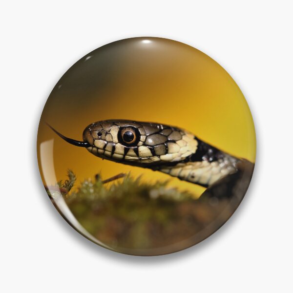 Item preview, Grass snake designed and sold by Christian Moss.