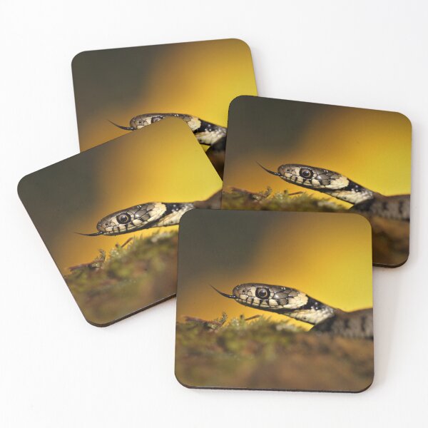 Item preview, Grass snake designed and sold by Christian Moss.